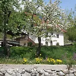 Apartman Vida *