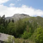 Vida