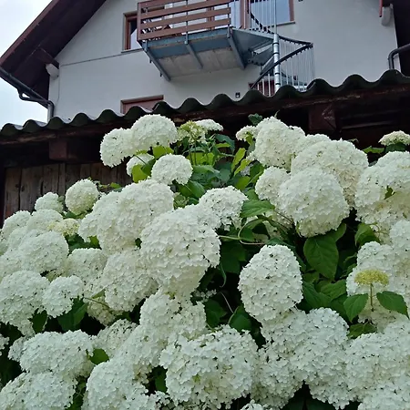 Vida Apartmán