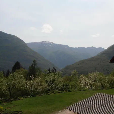 Vida Bovec